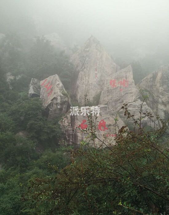 宁夏派乐特员工来西安看兵马俑游翠华山