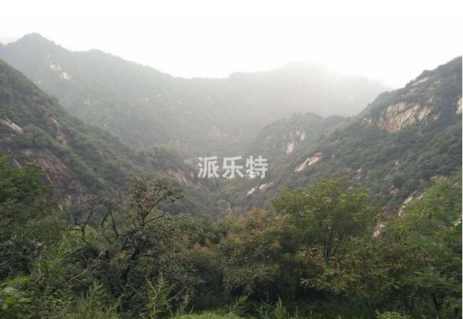 宁夏派乐特员工来西安看兵马俑游翠华山